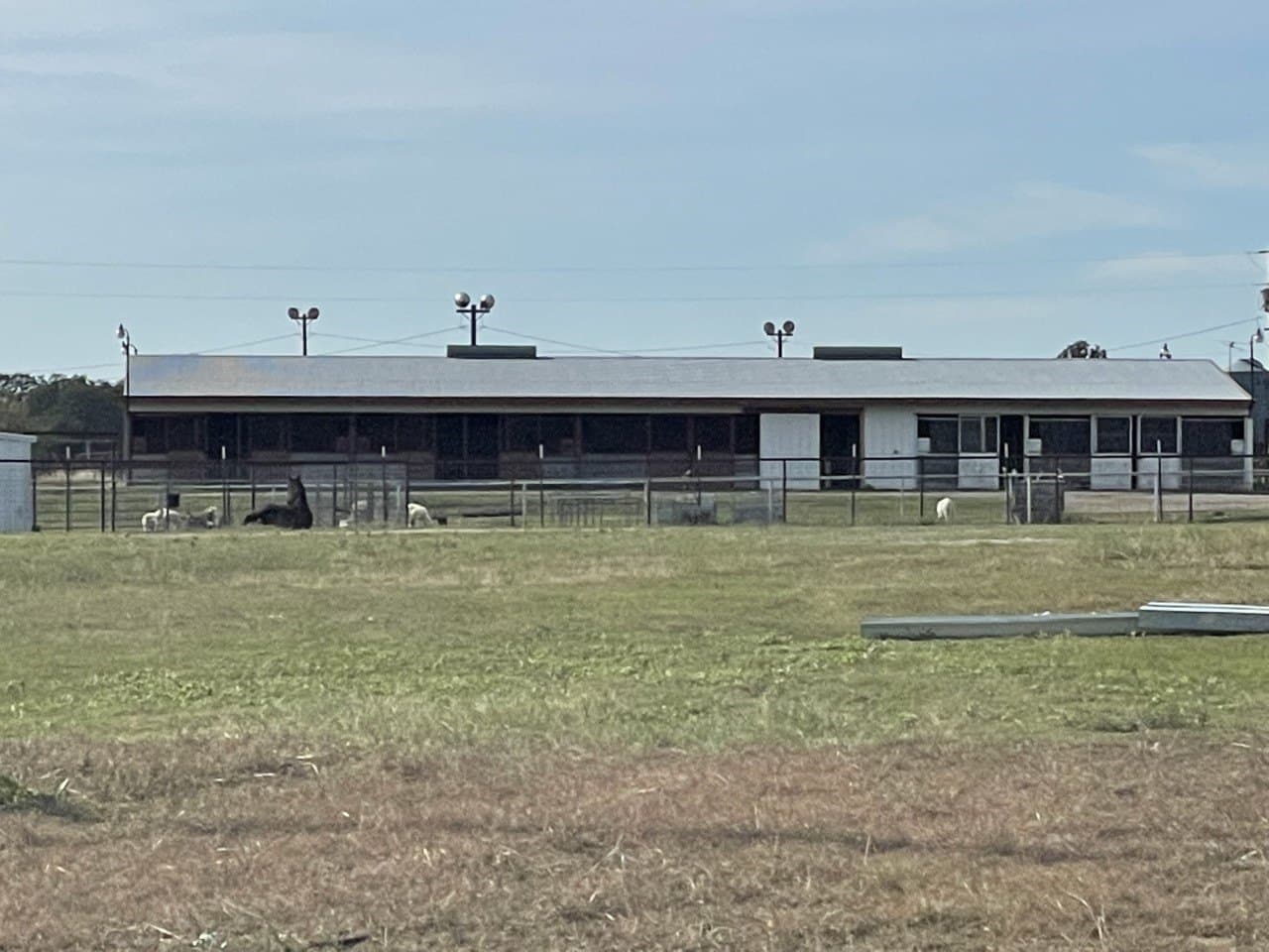 54.5 acres in Wise County gallery image 2