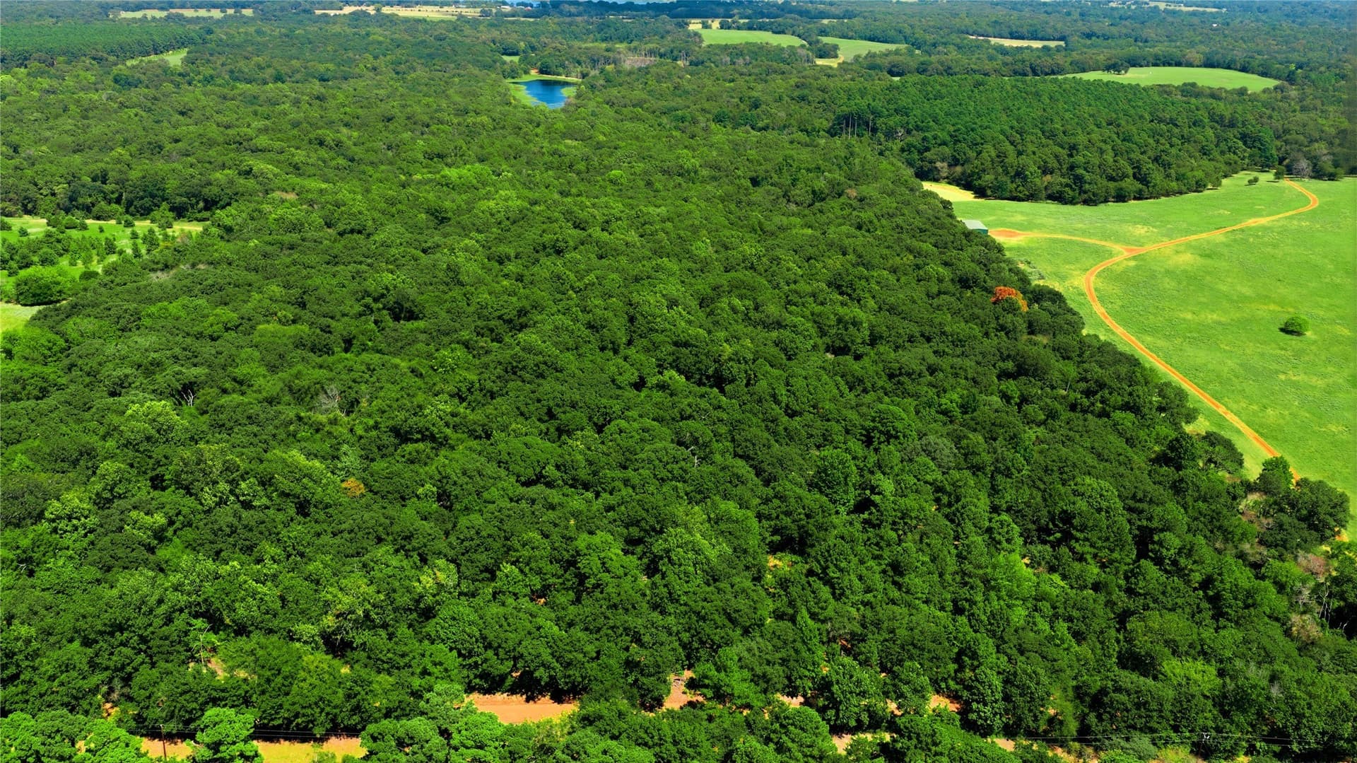19.49 acres in Henderson County - photo 2