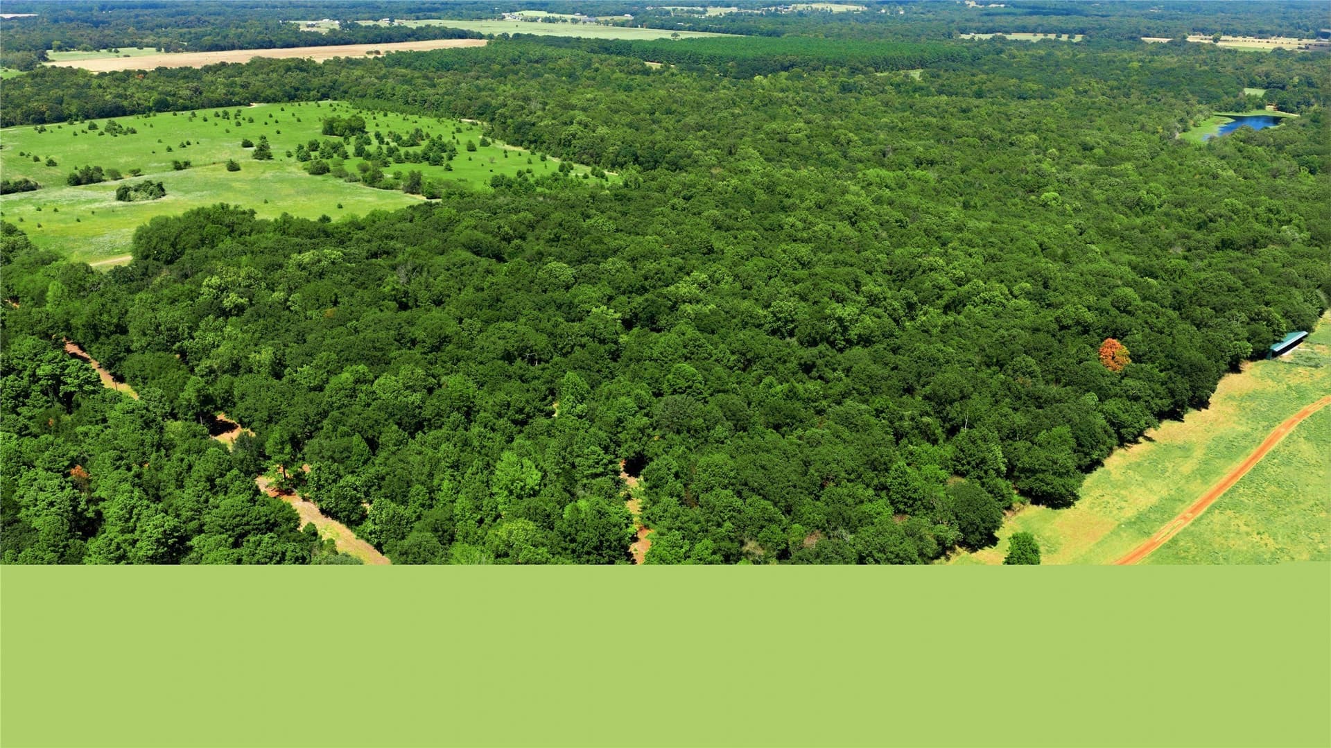 19.49 acres in Henderson County - photo 3