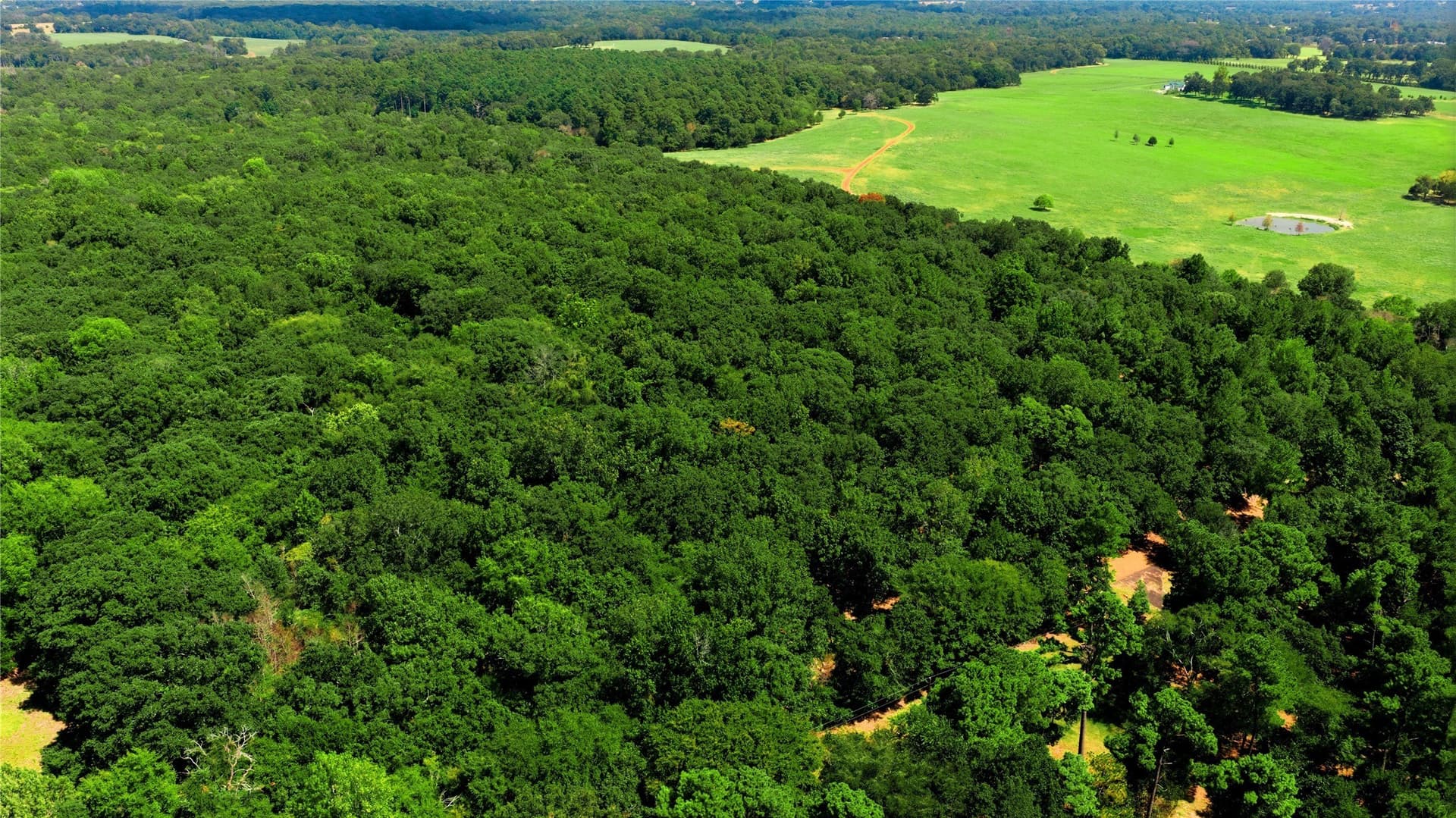 19.49 acres in Henderson County - photo 10