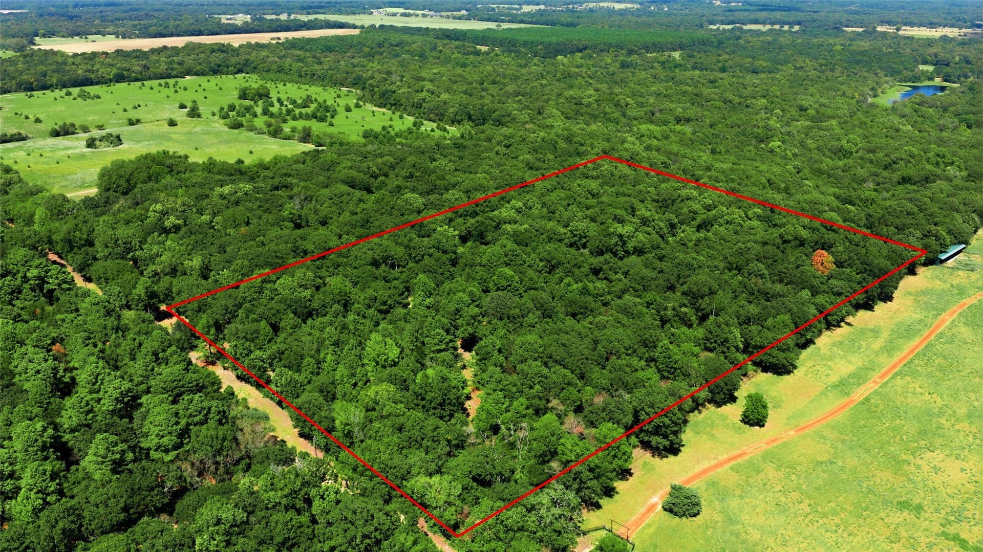 19.49 acres in Henderson County