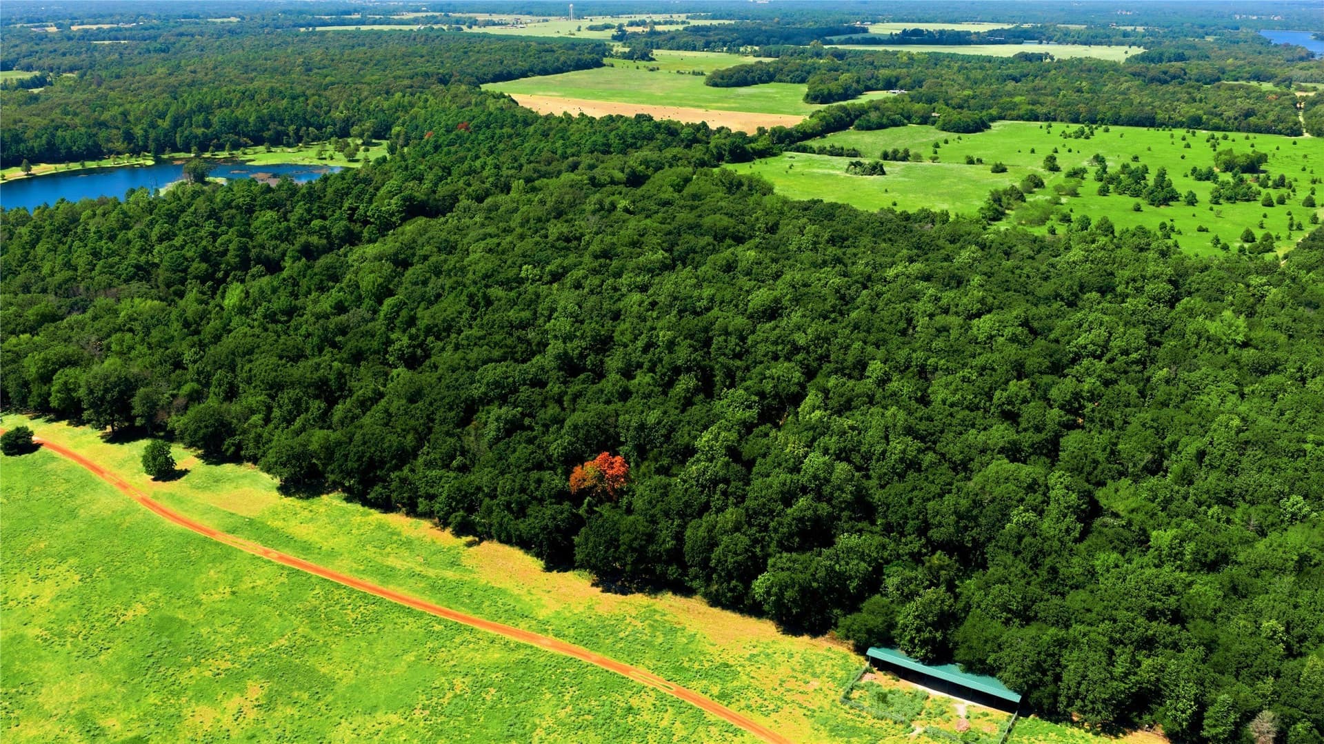 19.49 acres in Henderson County - photo 5