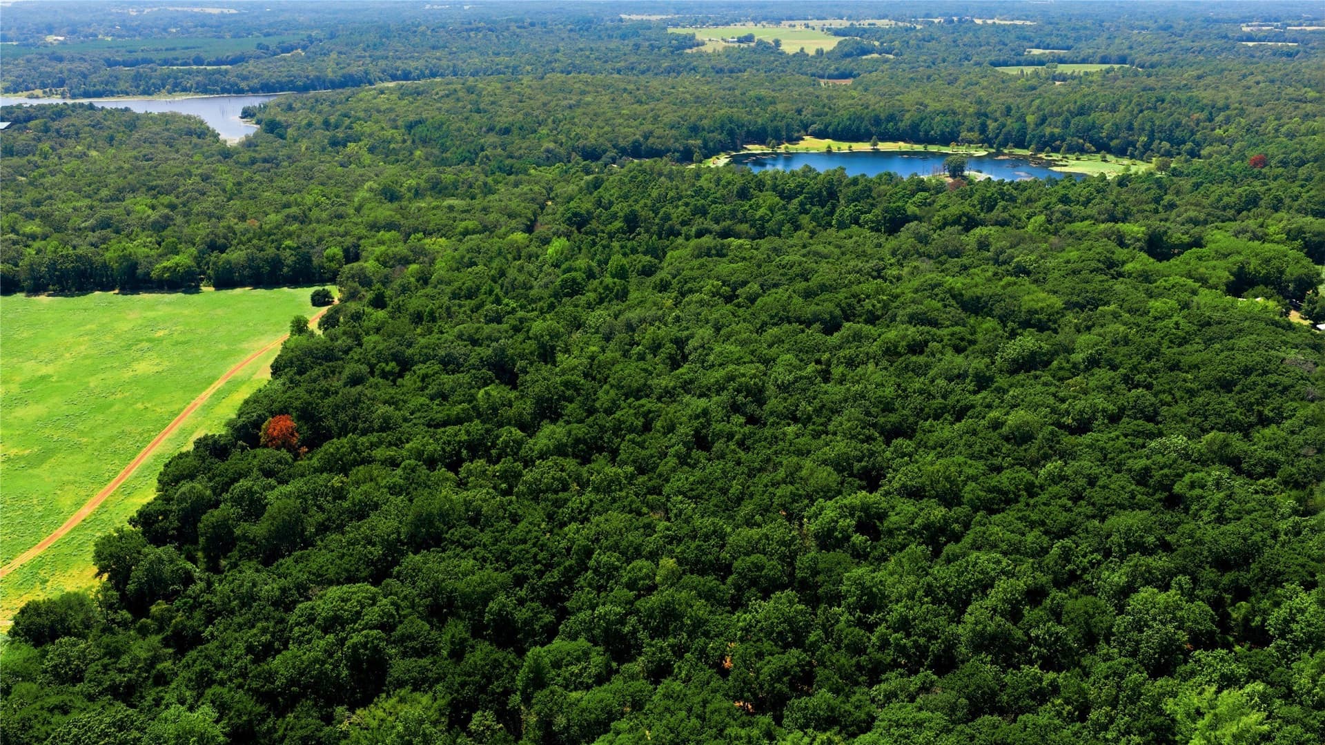 19.49 acres in Henderson County - photo 7