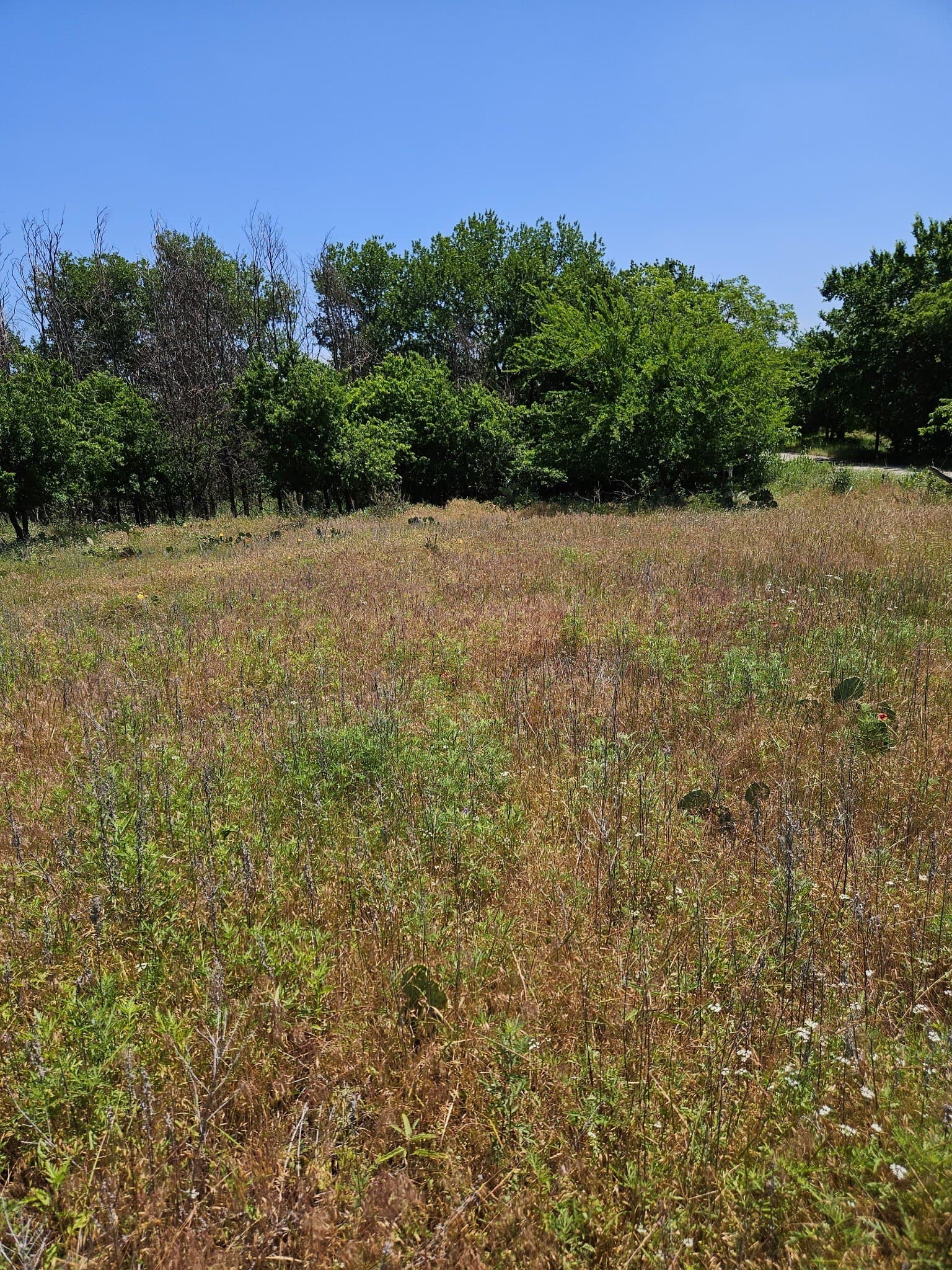 11.94 acres in Eastland County - photo 7