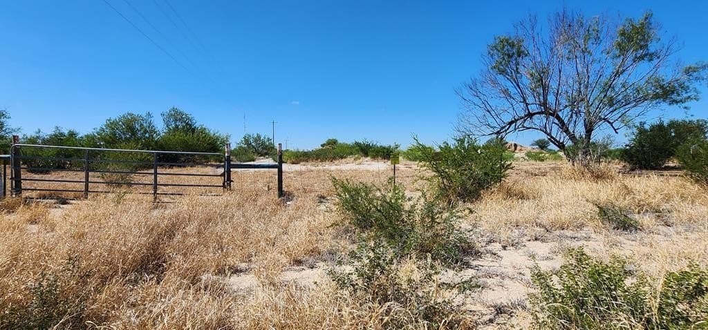 109.84 acres in Dimmit County - photo 16