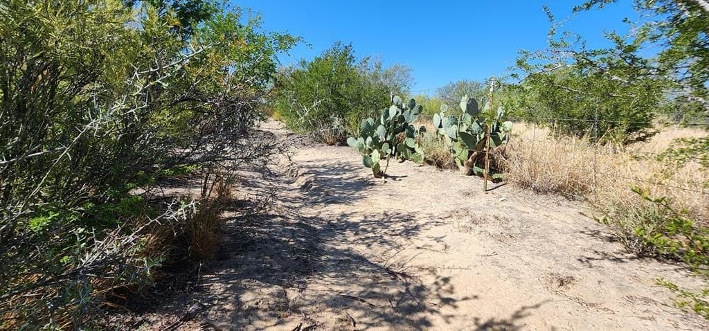 109.84 acres in Dimmit County - photo 22