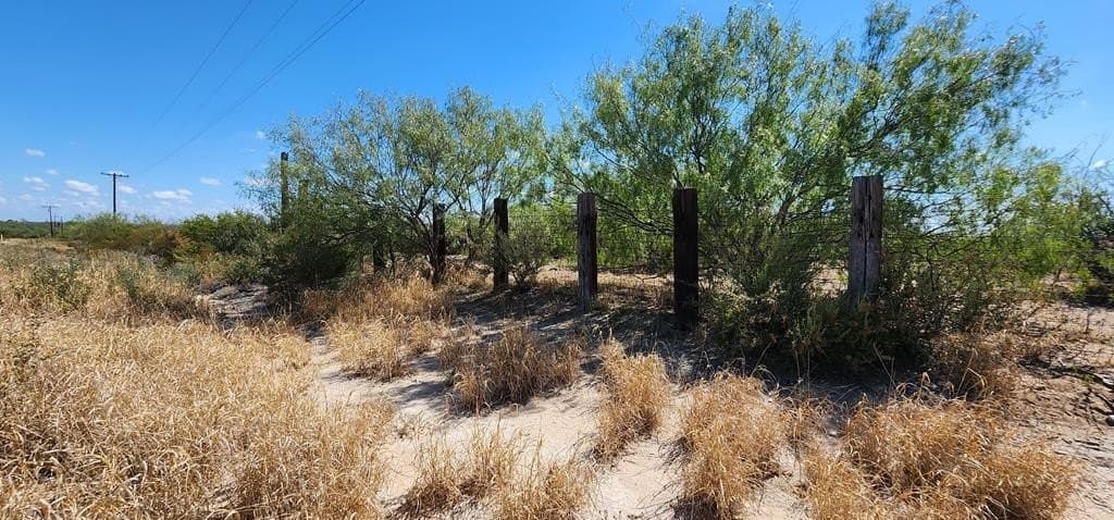 109.84 acres in Dimmit County - photo 19