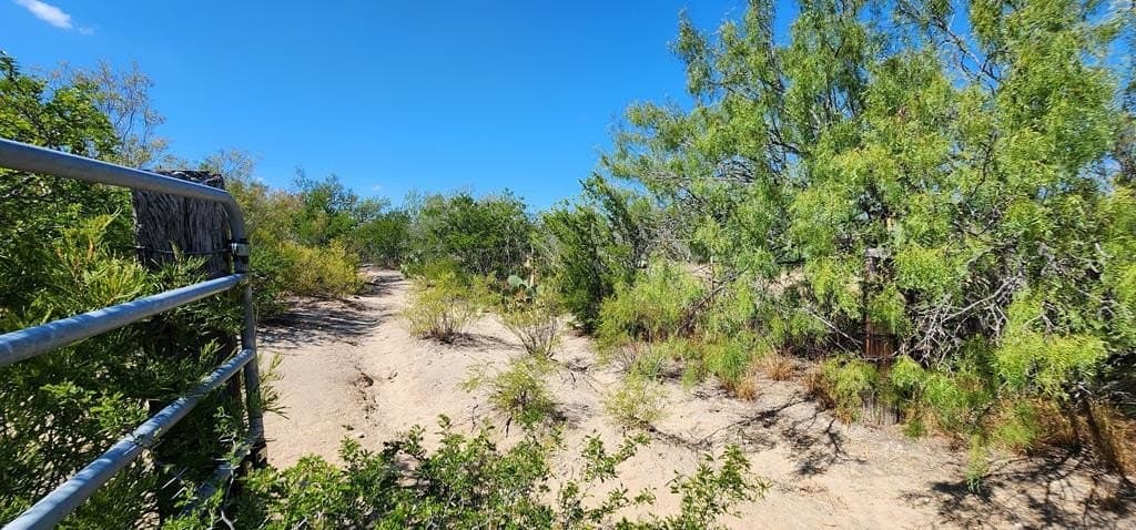 109.84 acres in Dimmit County - photo 24