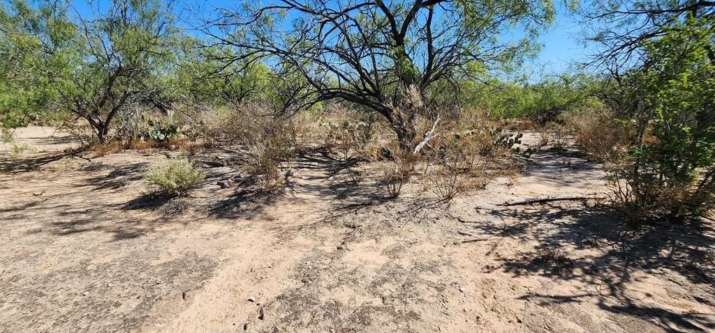 109.84 acres in Dimmit County - photo 26