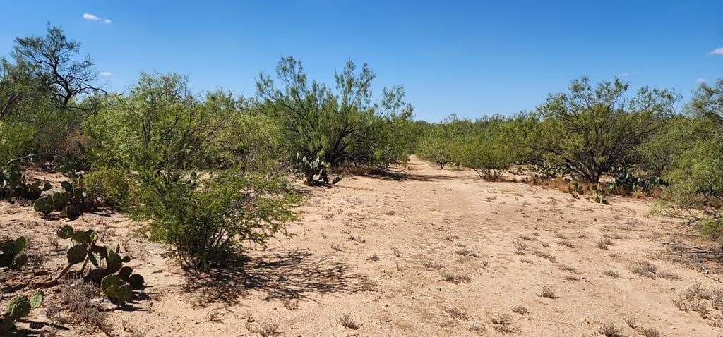 109.84 acres in Dimmit County - photo 8