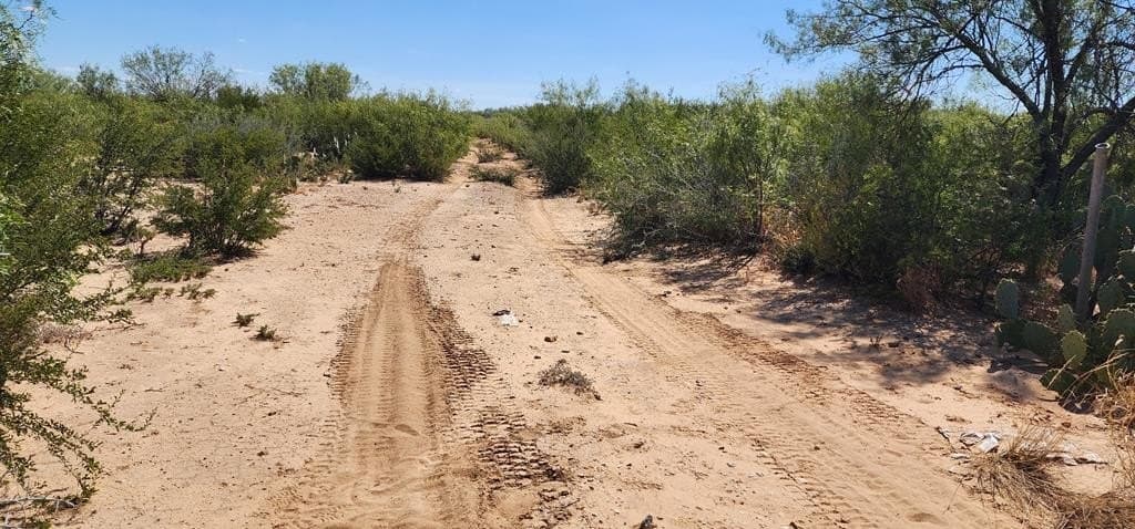 109.84 acres in Dimmit County - photo 2