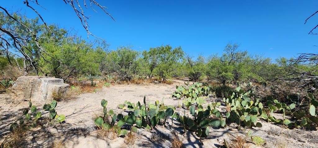 109.84 acres in Dimmit County - photo 28