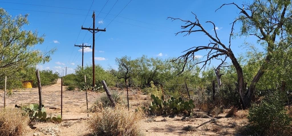 109.84 acres in Dimmit County - photo 10