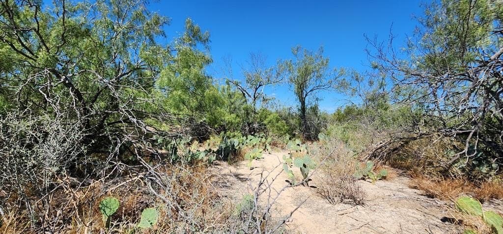 109.84 acres in Dimmit County - photo 25
