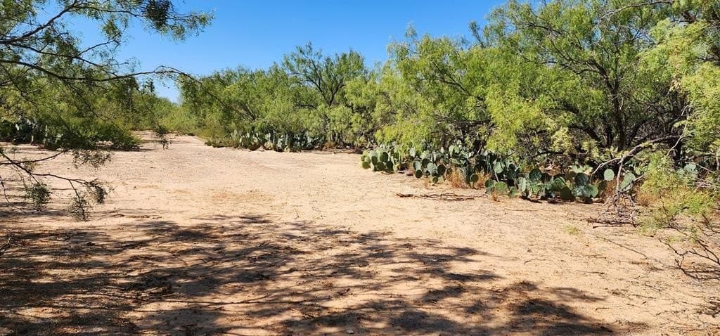 109.84 acres in Dimmit County - photo 5