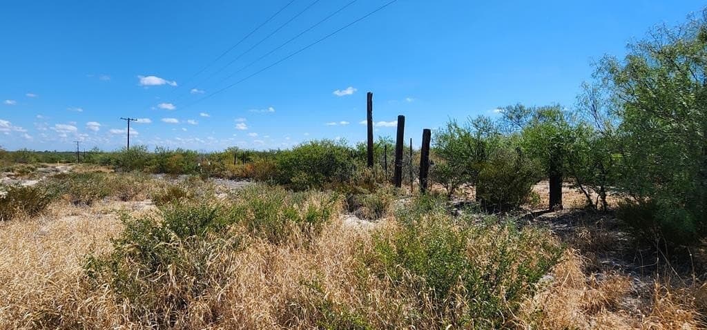 109.84 acres in Dimmit County - photo 15