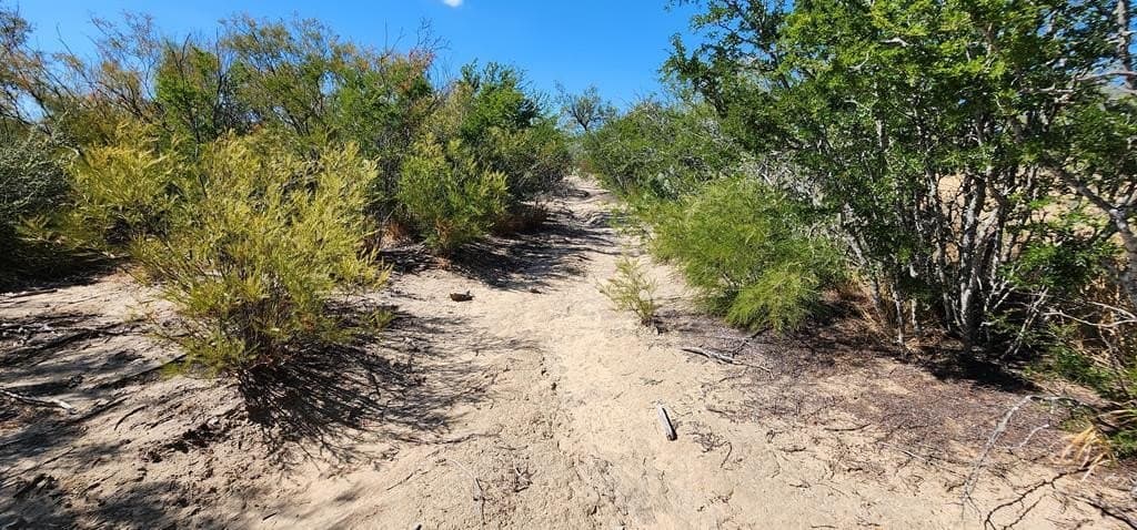 109.84 acres in Dimmit County - photo 23