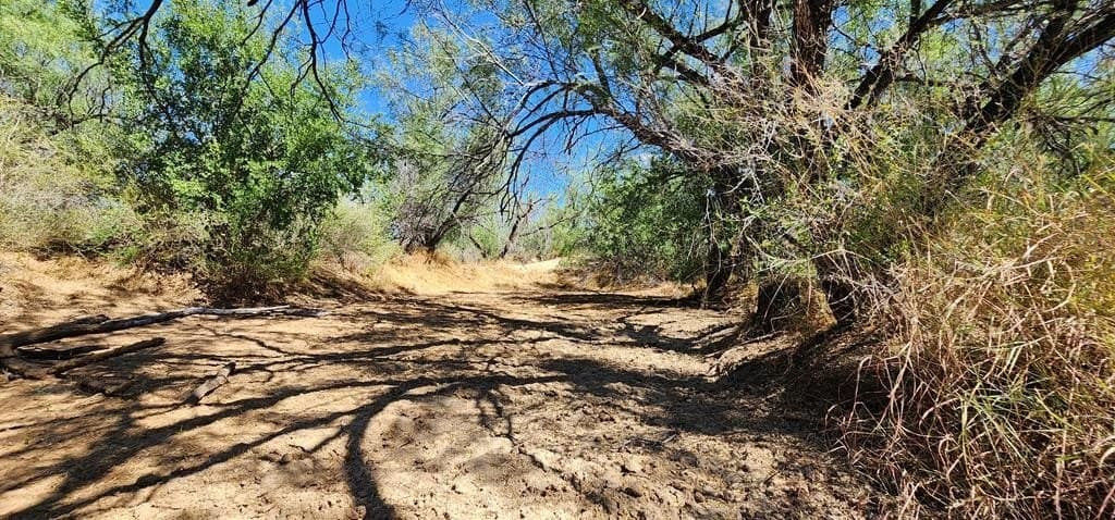 109.84 acres in Dimmit County - photo 6