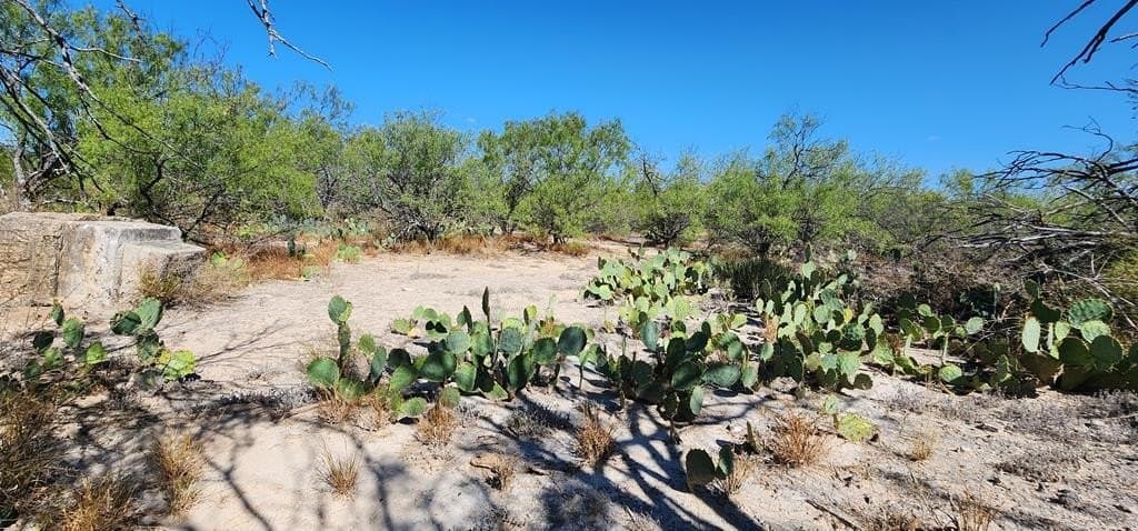 109.84 acres in Dimmit County - photo 29