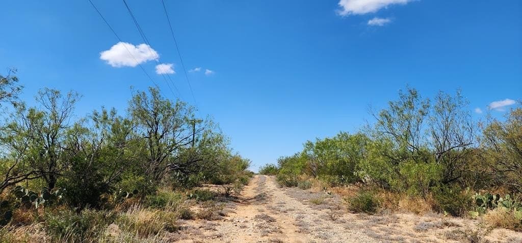 109.84 acres in Dimmit County - photo 9