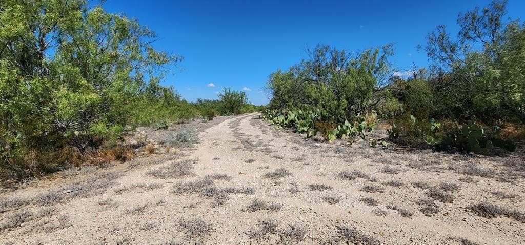 109.84 acres in Dimmit County - photo 12