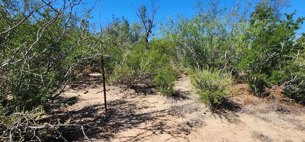 109.84 acres in Dimmit County - photo 27