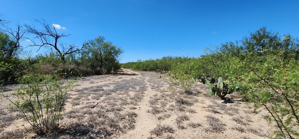 109.84 acres in Dimmit County - photo 11