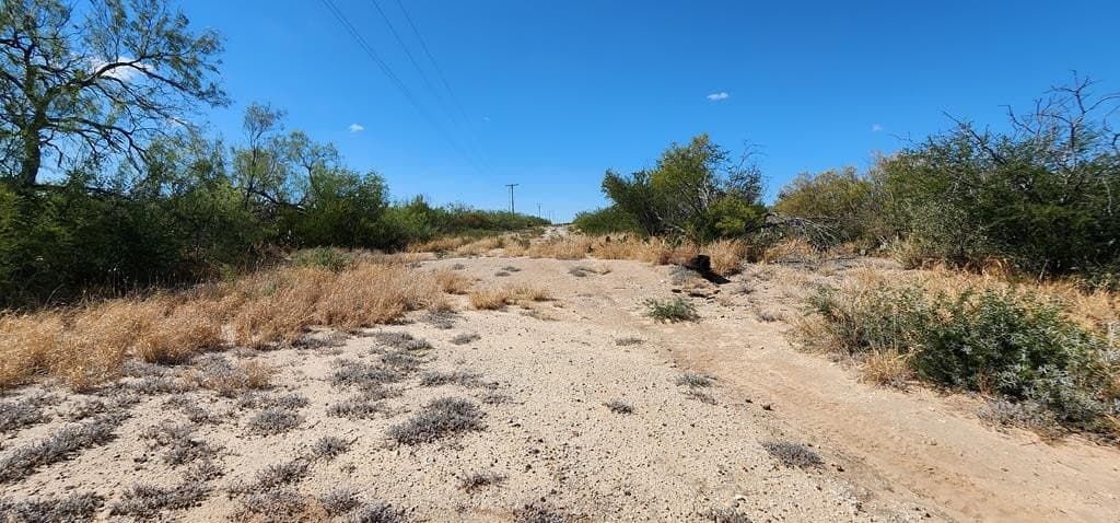 109.84 acres in Dimmit County - photo 13