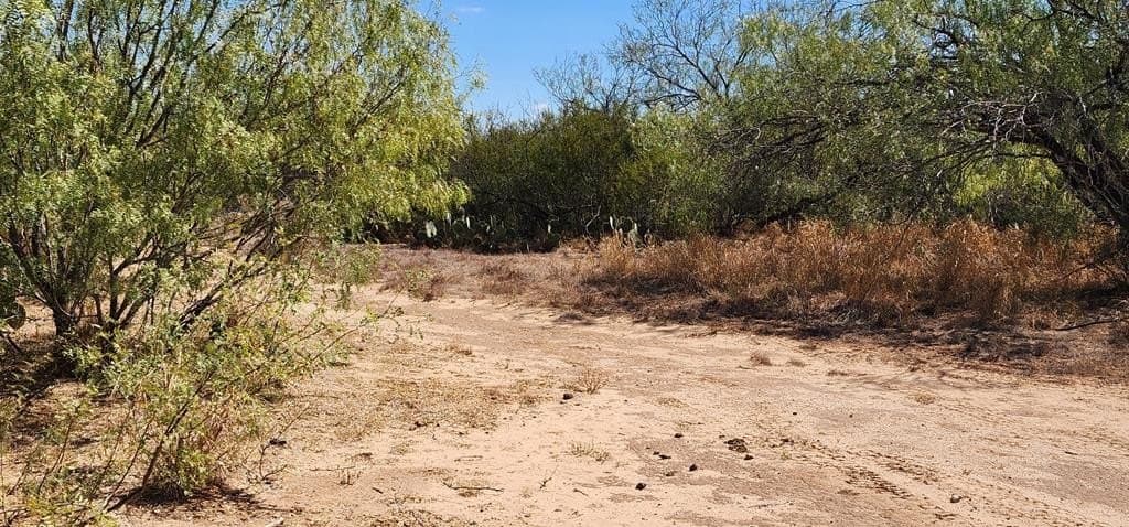 109.84 acres in Dimmit County - photo 4