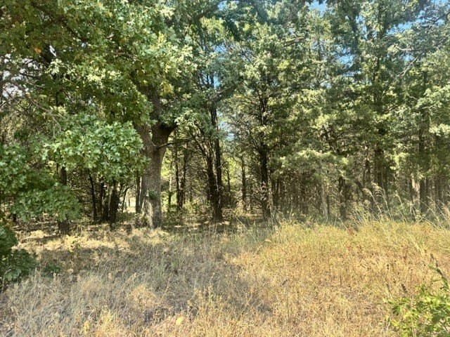 0.21 acres in Grayson County - photo 2