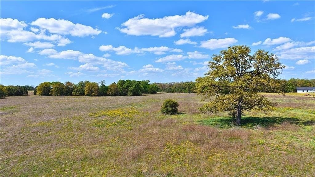 10.83 acres in Burleson County - photo 6