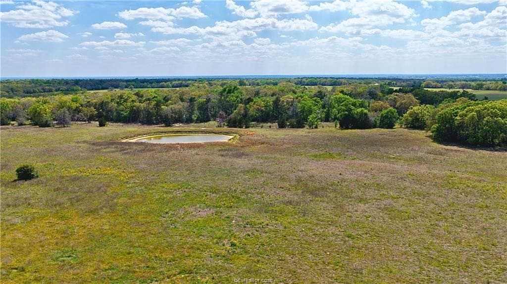 10.83 acres in Burleson County - photo 13