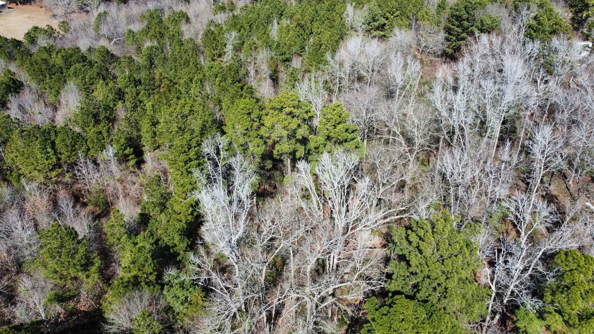 17.7 acres in Smith County - photo 14