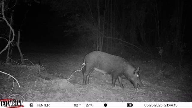 17.7 acres in Smith County - photo 22