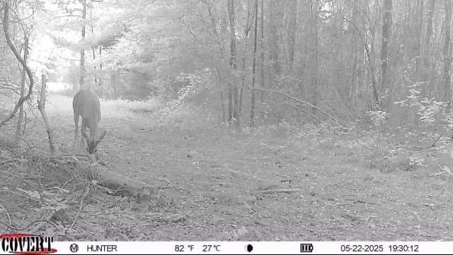 17.7 acres in Smith County - photo 20