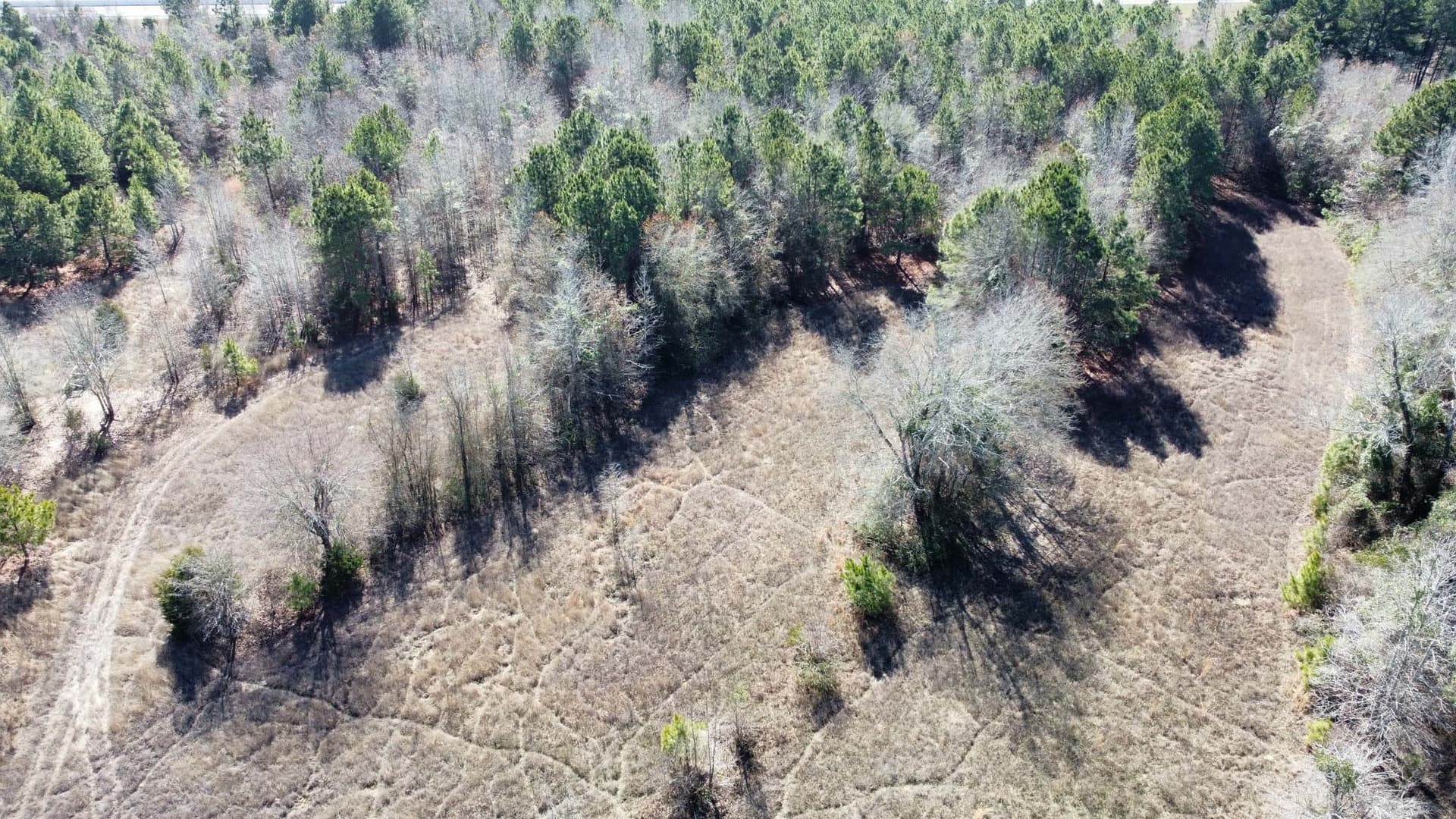 17.7 acres in Smith County - photo 15