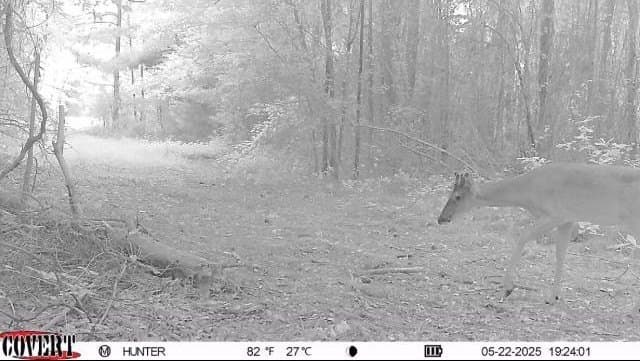 17.7 acres in Smith County - photo 19