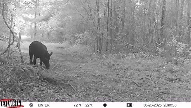 17.7 acres in Smith County - photo 23