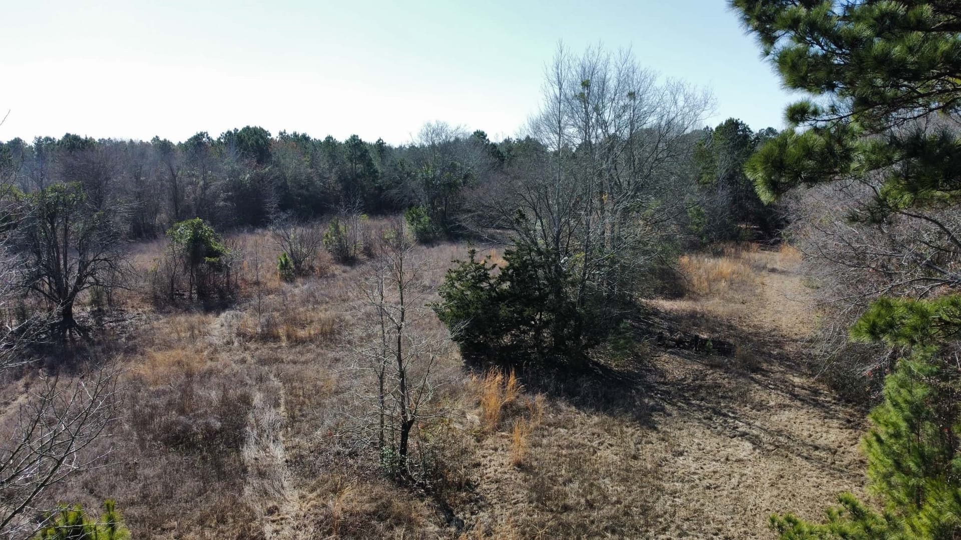 17.7 acres in Smith County - photo 16