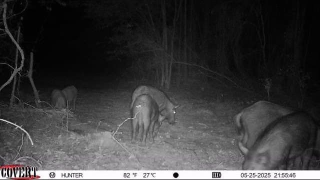 17.7 acres in Smith County - photo 24