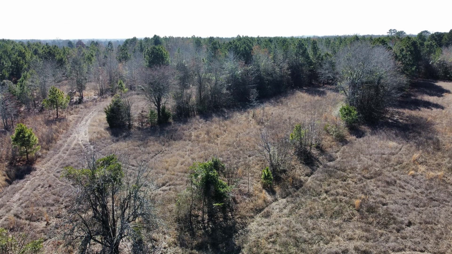 17.7 acres in Smith County - photo 10