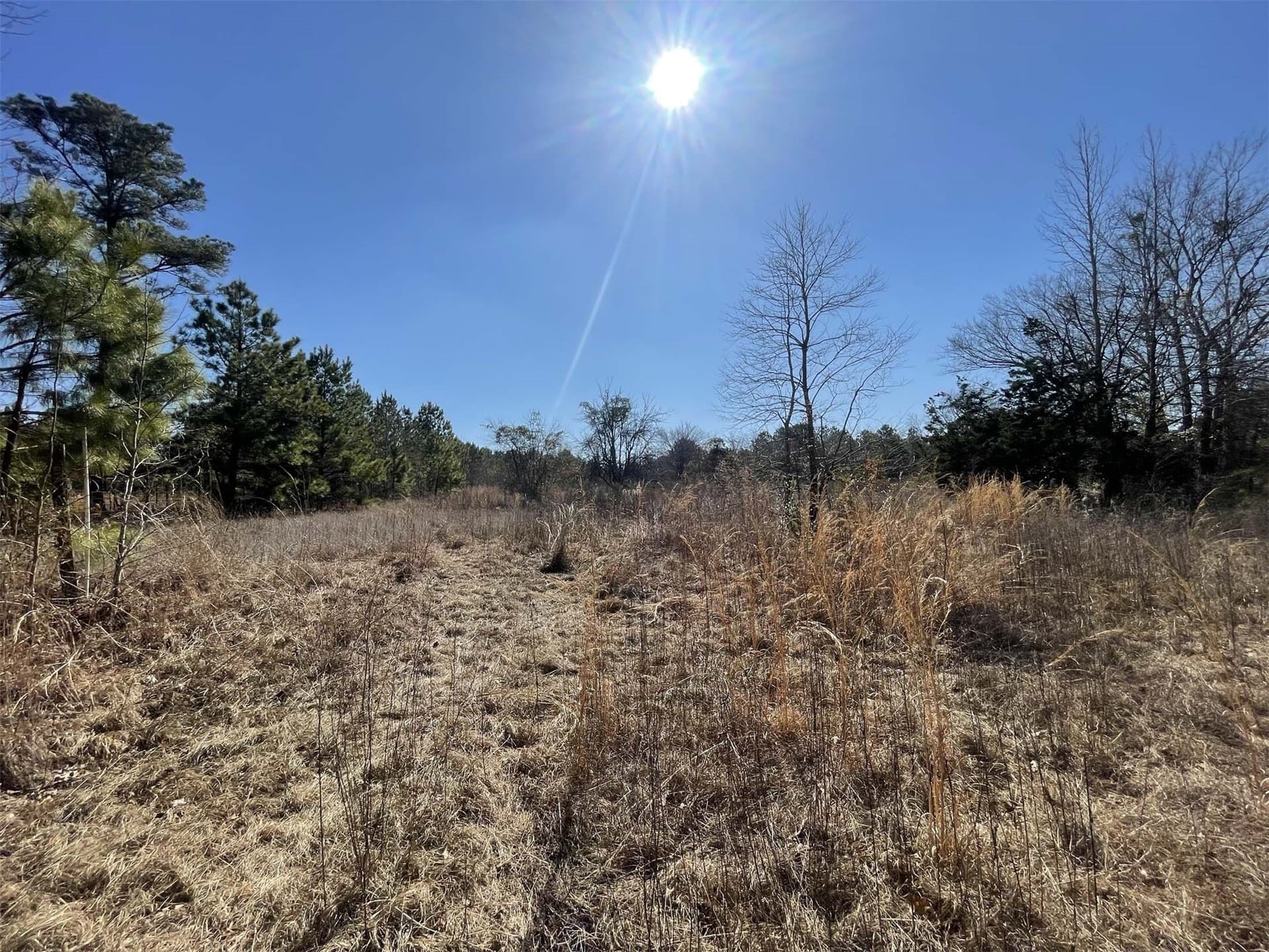 17.7 acres in Smith County - photo 9