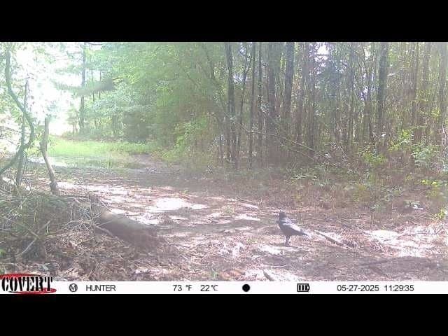 17.7 acres in Smith County - photo 25