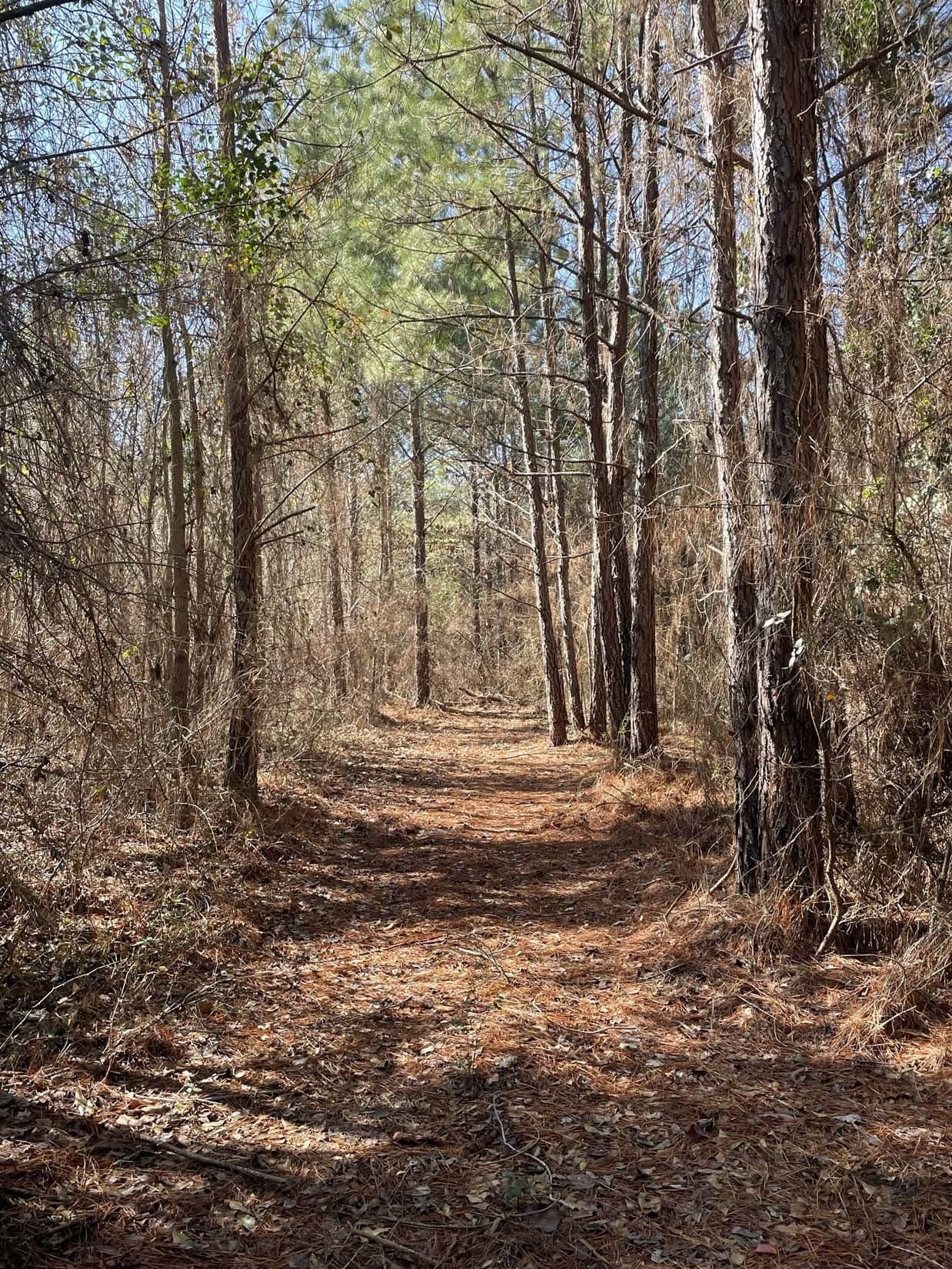 17.7 acres in Smith County - photo 7