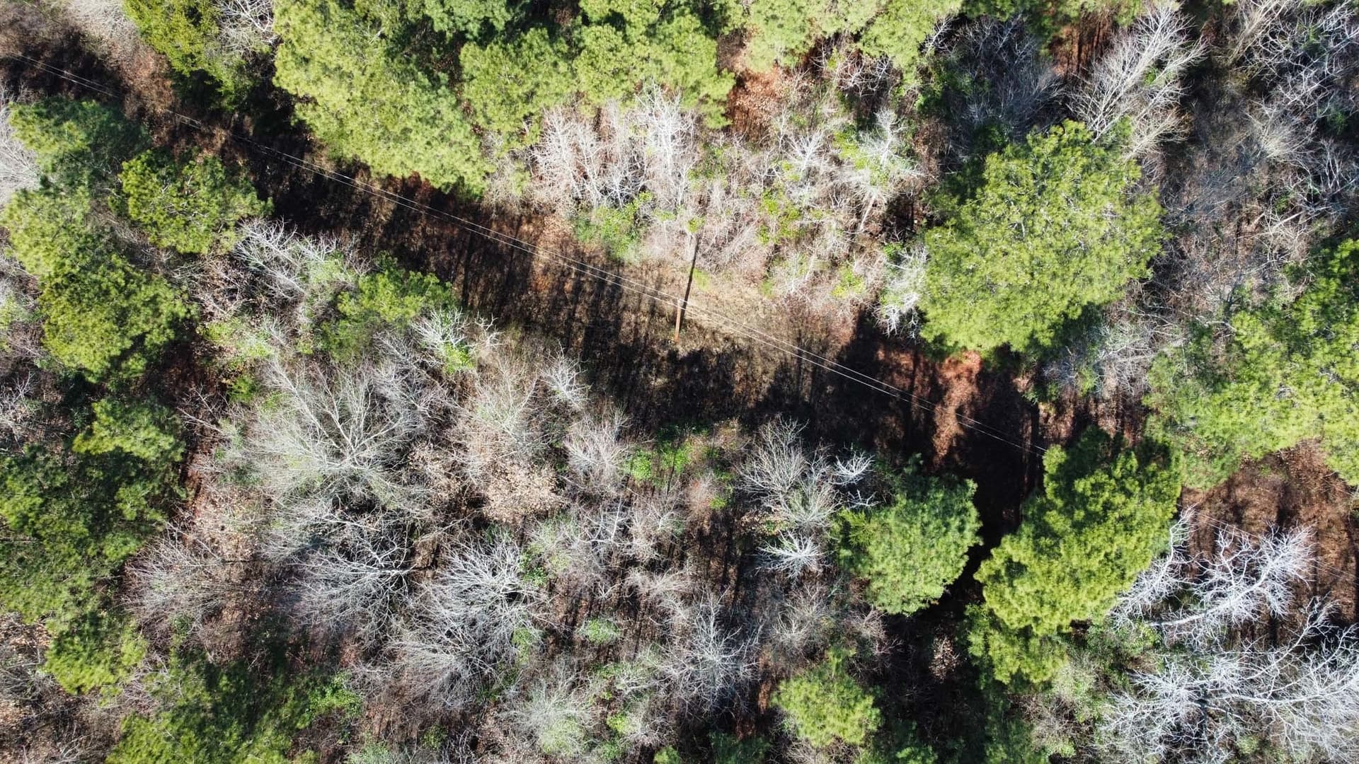 17.7 acres in Smith County - photo 4