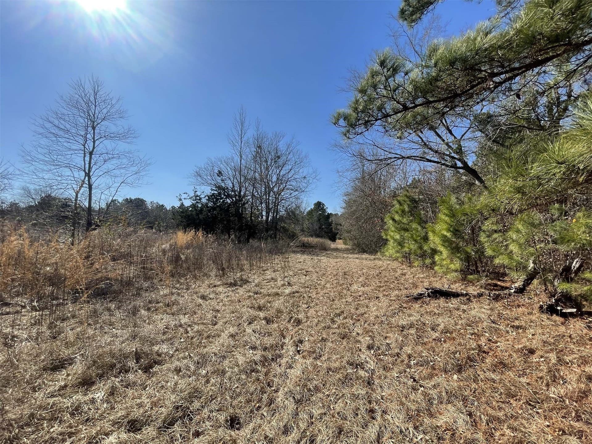 17.7 acres in Smith County - photo 8