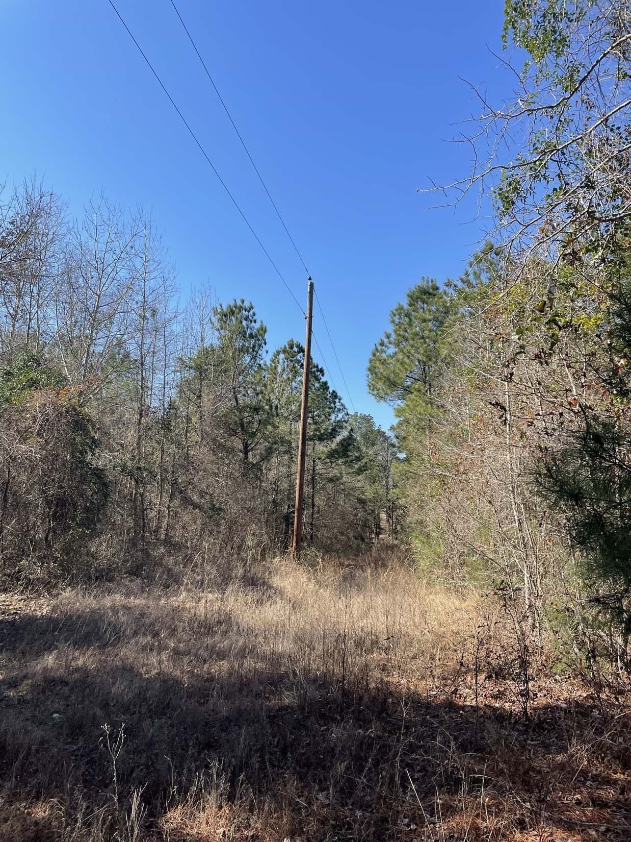 17.7 acres in Smith County - photo 6