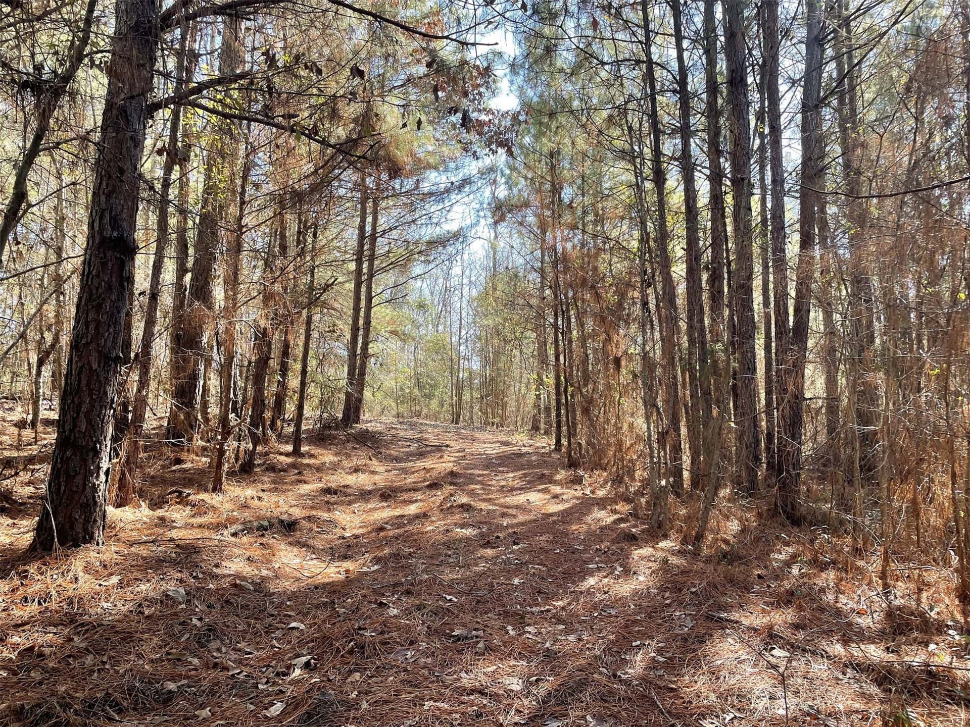 17.7 acres in Smith County - photo 2