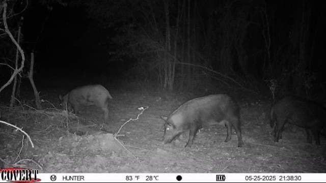 17.7 acres in Smith County - photo 21