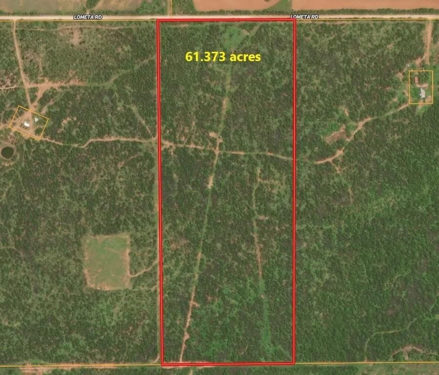 61.37 acres in Coke County